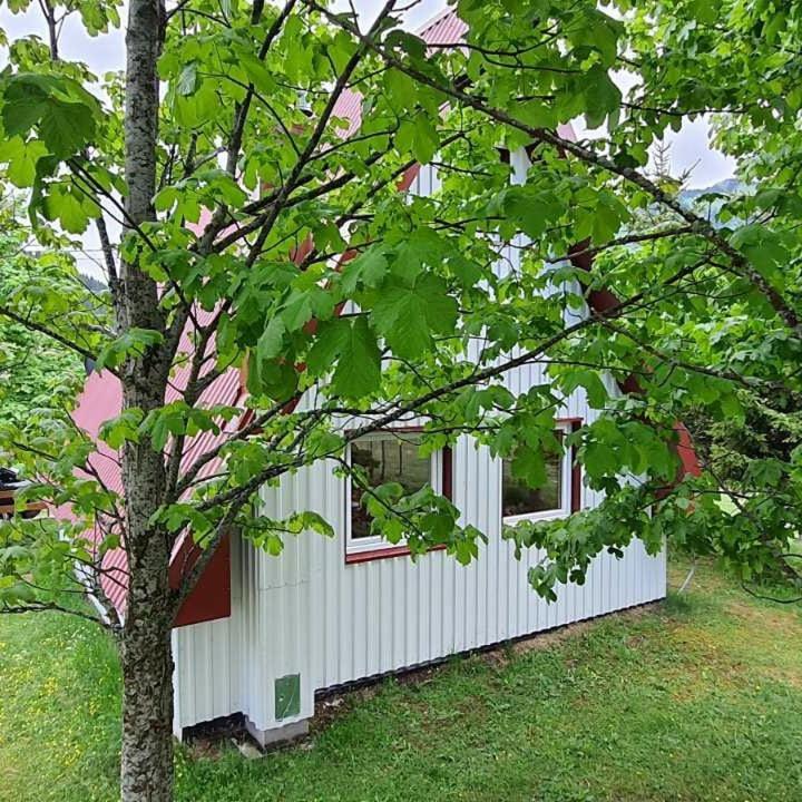 Vila Sarigora Žabljak Buitenkant foto